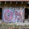 October 10th, 2023 -- Heritage barn in Burgoyne Bay park, Salt Spring Island covered in graffiti.