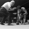 April 9th, 1979 -- "So You Wanna Fight" competition at the PNE Gardens. Referee is Dave Brown